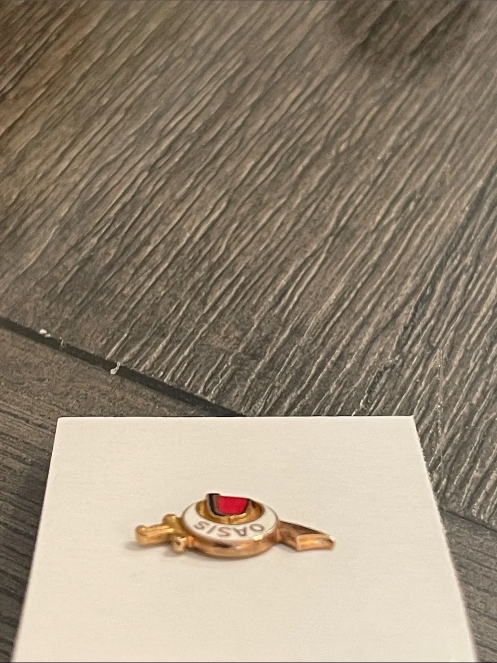 Vintage Masonic Shriners OASIS Gold-tone & Enamel Lapel Pin